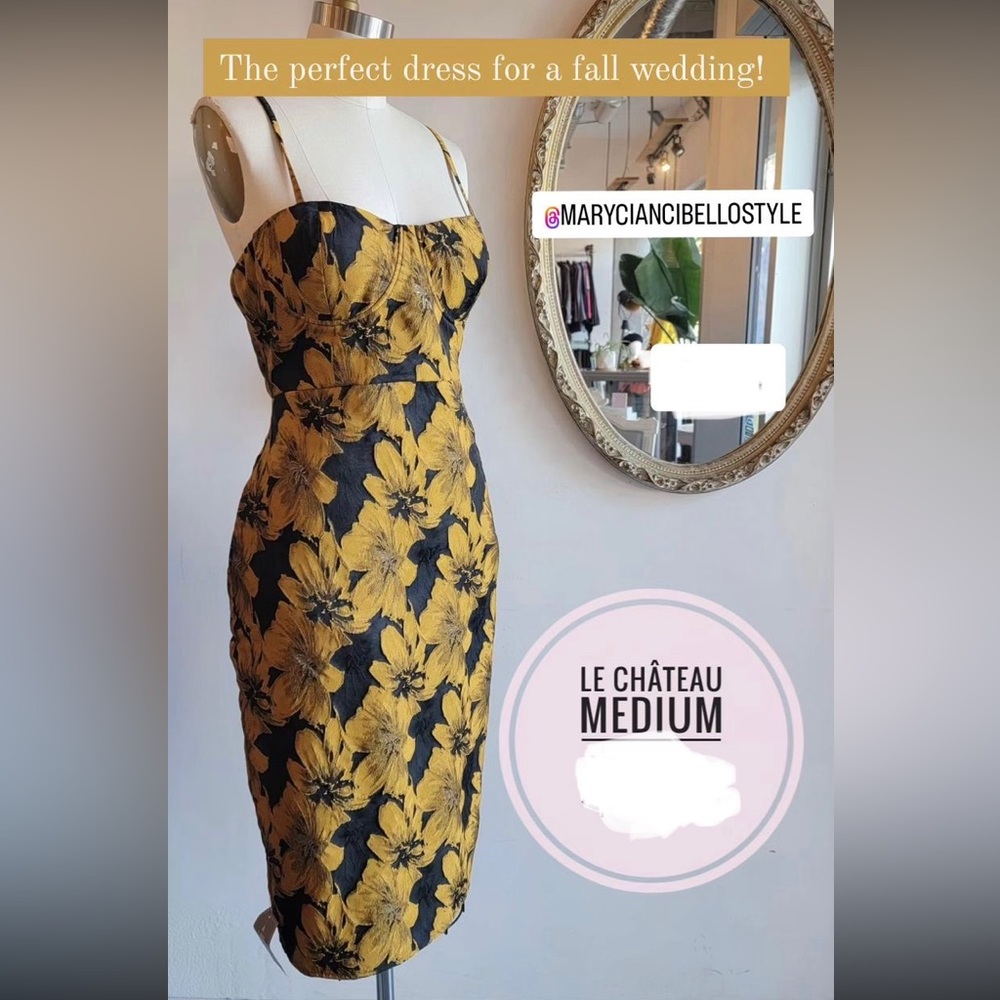 GORGEOUS Occasion Dress Le Chateau - BNWT